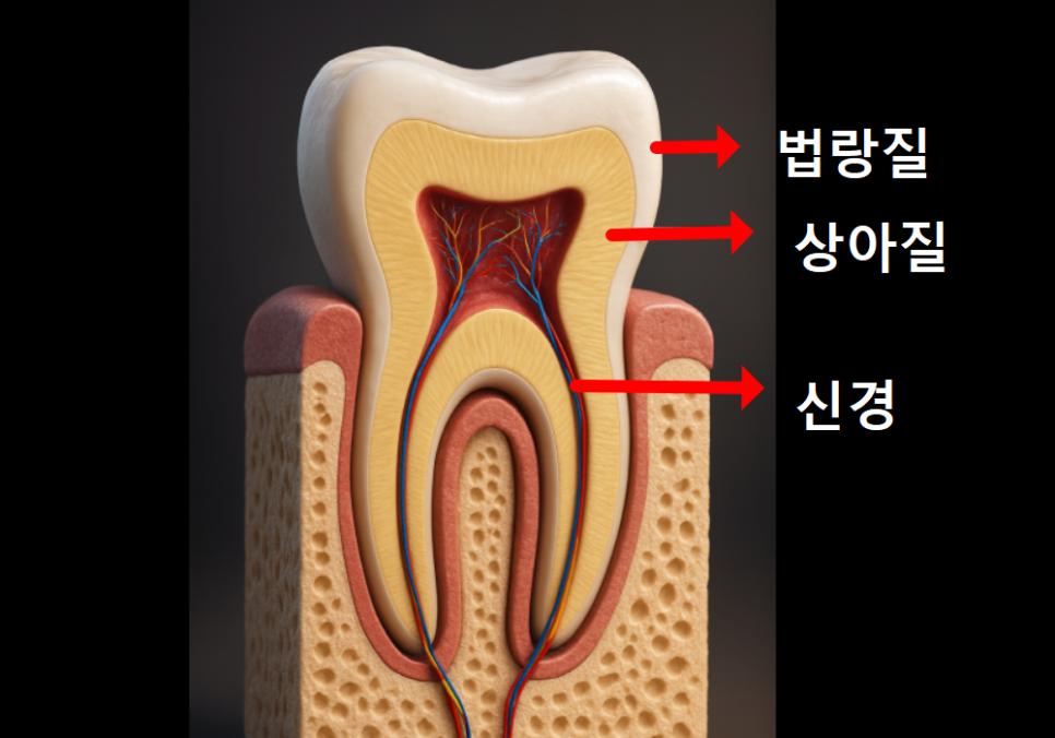 고덕동 치과 누런 이, 앞니 사이 틈, 잘못된 관리 때문일까? 관련 이미지 10