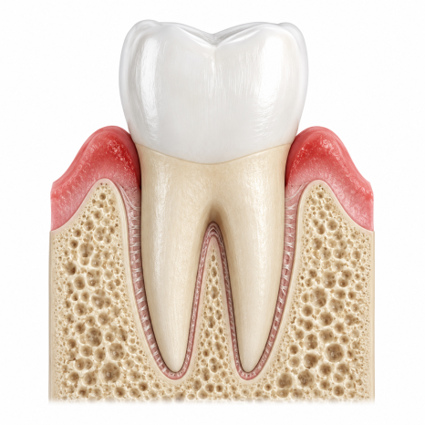 My Tooth Was Loose, Then It Fell Out at Home... image 3