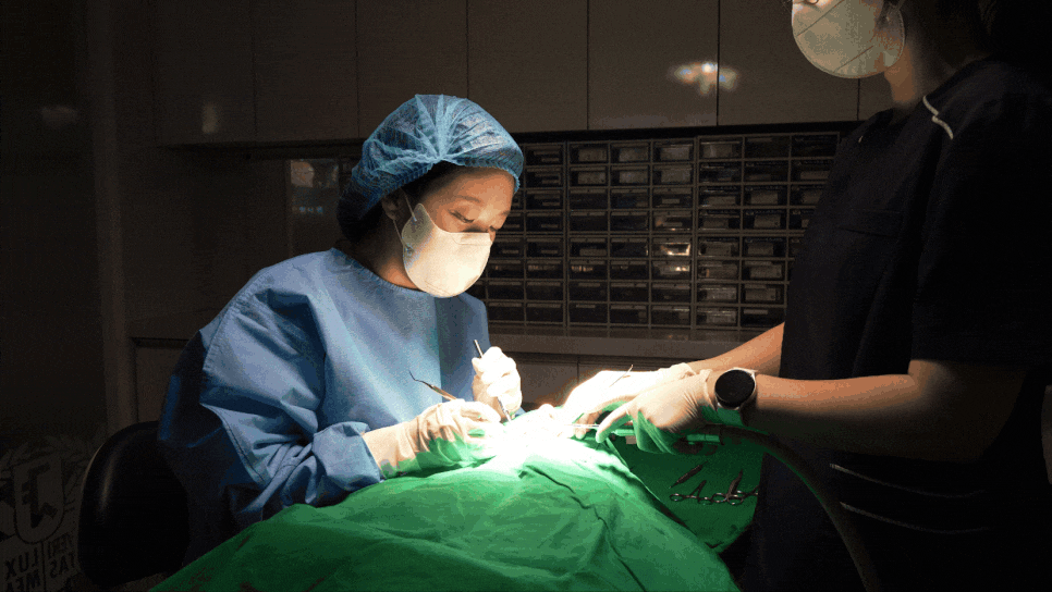 고덕동 치과 임플란트도 교체 주기가 있을까? 기준은? 관련 이미지 1