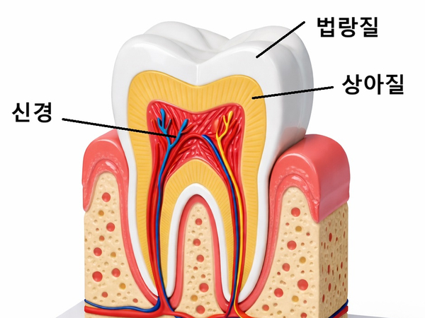 앞니 라미네이트, 치아 시림 고민 덜 수 있는 해결 방법 공개합니다. 관련 이미지 3