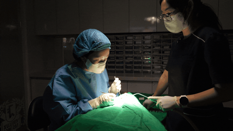 어금니 임플란트 1개 가격 왜이렇게 천차만별일까? 관련 이미지 1