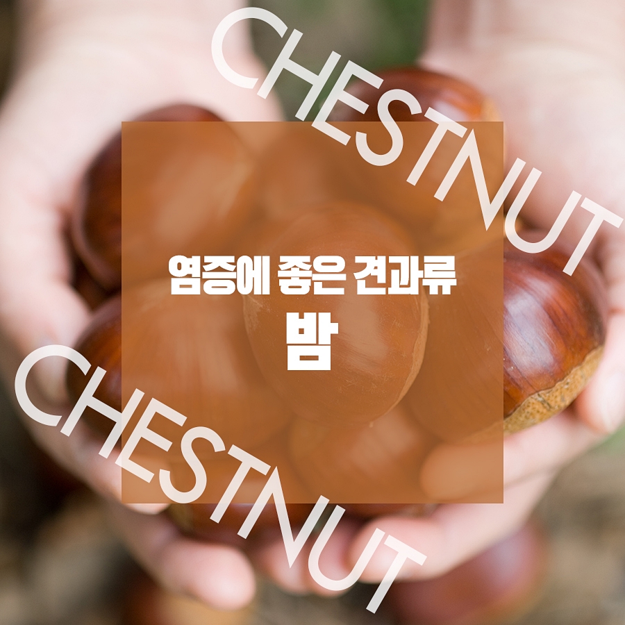 염증에 좋은 견과류로 건강해지자! 관련 이미지 5
