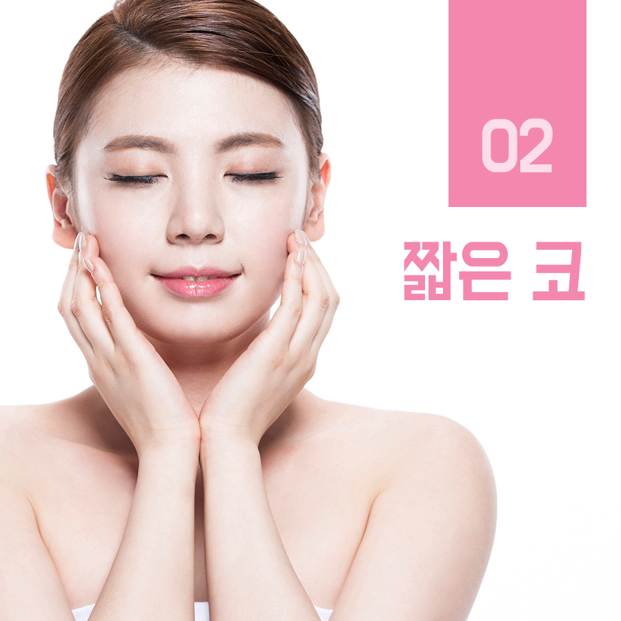 유형별 코 내 코는 어떤 모양일까? 관련 이미지 4