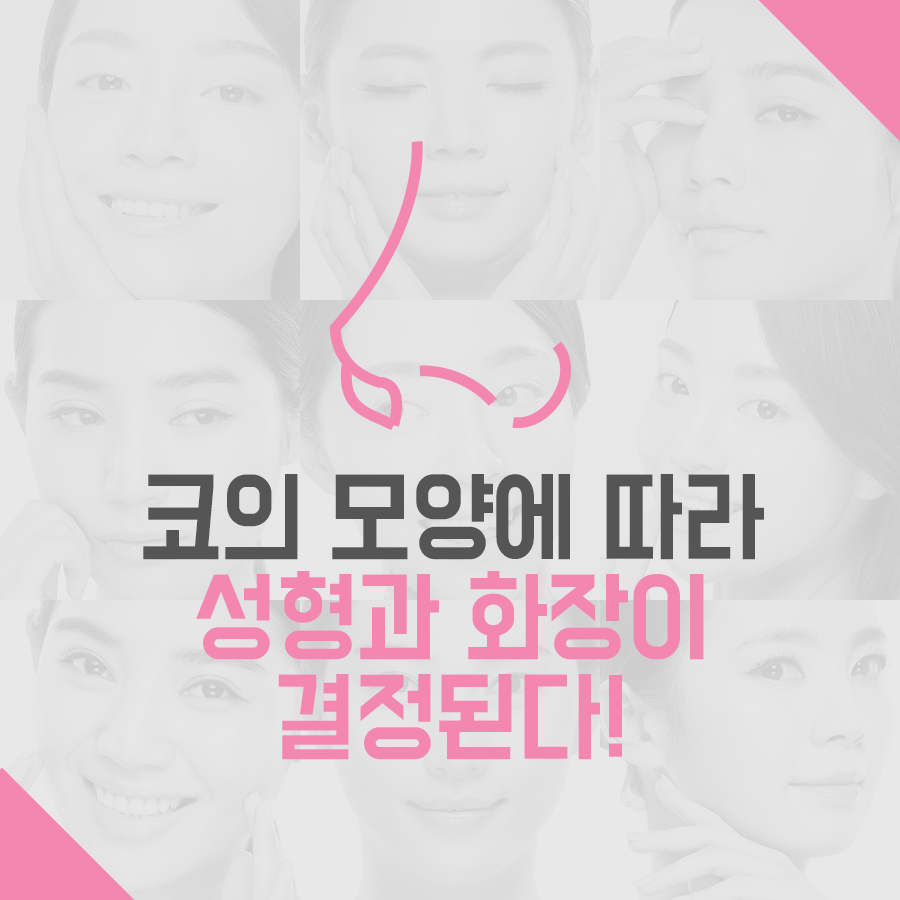 유형별 코 내 코는 어떤 모양일까? 관련 이미지 2