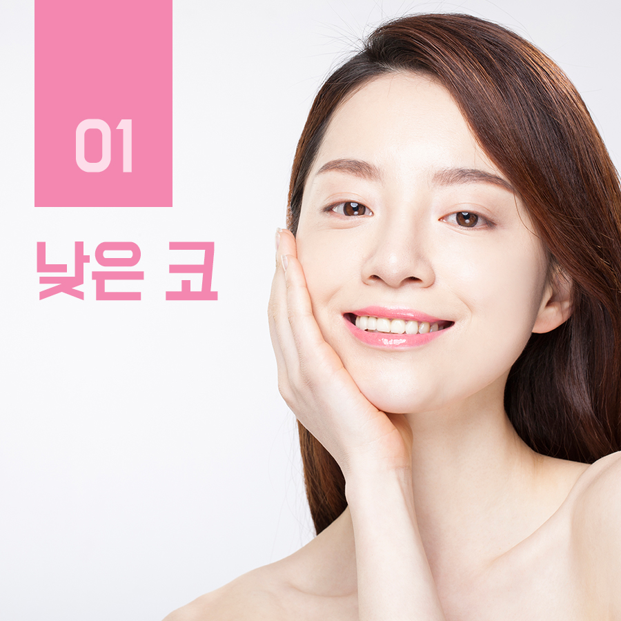유형별 코 내 코는 어떤 모양일까? 관련 이미지 3