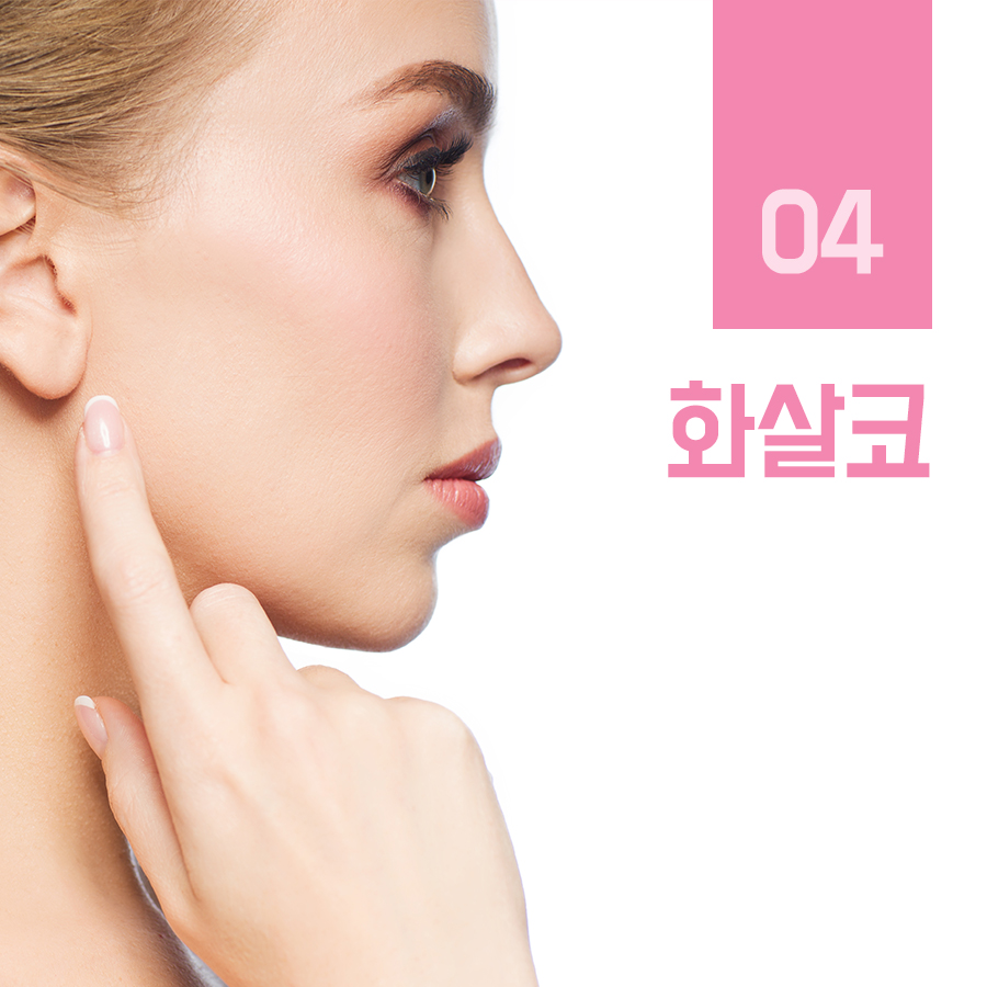 유형별 코 내 코는 어떤 모양일까? 관련 이미지 6