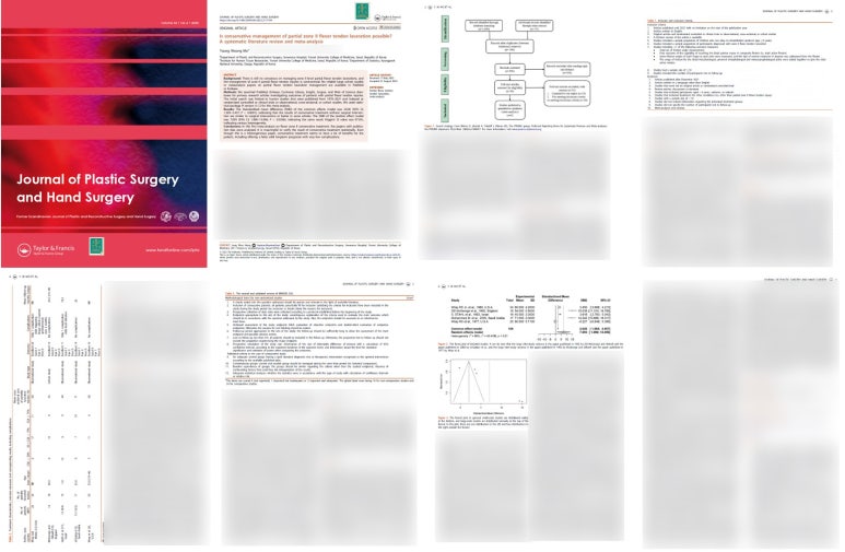 처음으로 써 본 메타분석 논문(Meta-analysis and systematic literature review) 관련 이미지 29