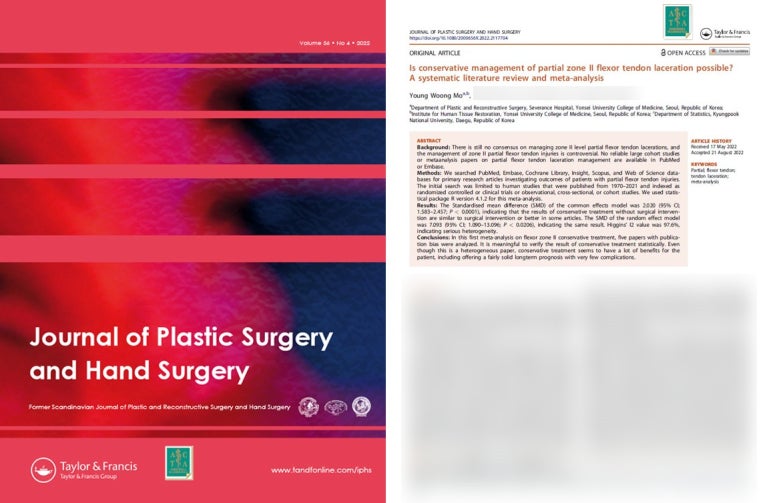 처음으로 써 본 메타분석 논문(Meta-analysis and systematic literature review) 관련 이미지 28