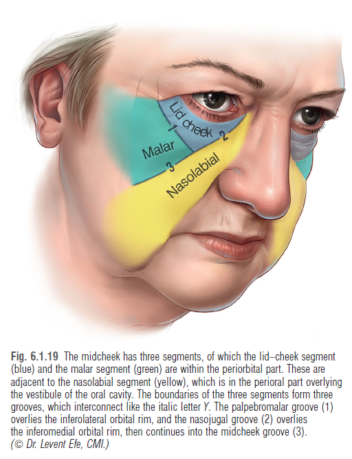 28세 여성, 눈밑지방재배치(눈밑지, 28/F Transconjunctival septal fat redraping-internal fixation technique) 관련 이미지 12