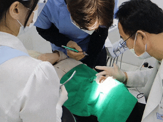 강남 라미네이트 치과추천, 마모된 치아 기능 살리는 심미보철치료 관련 이미지 1