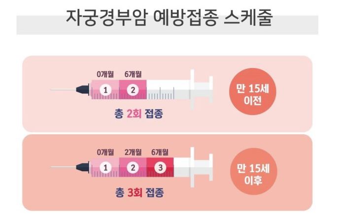박보검이 맞은 주사 맞으러 왔어요! (자궁경부암 가다실9) 관련 이미지 2