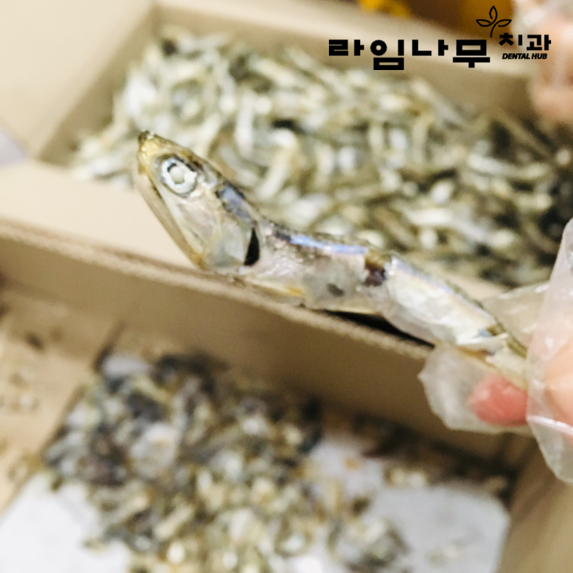 감사한 고객님의 선물, 라임나무치과 명동점의 맛난 점심으로 ♥ 관련 이미지 3
