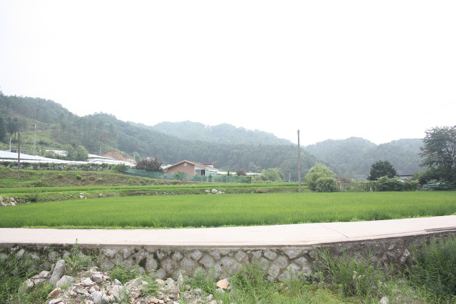 (2012년)서울세관과 함께한 라임나무 식구들의 봉사활동을 공개합니다 관련 이미지 4