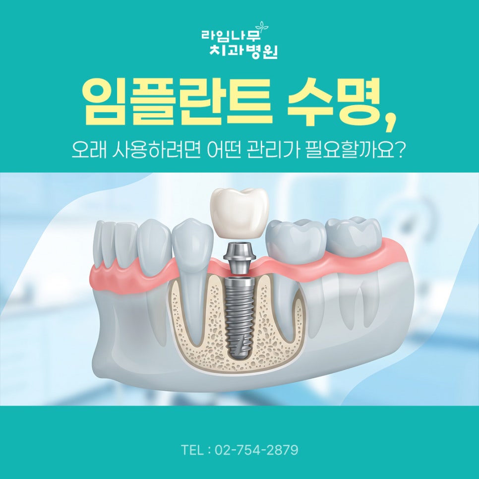 명동 임플란트 임플란트 수명, 오래 사용하려면 어떤 관리가 필요할까요? 관련 이미지 2