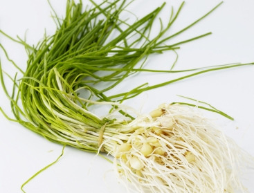 [명동치과]3월 제철음식, 어떤 것들이 있는지 알아볼까요 관련 이미지 3