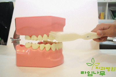 다양한 칫솔질 방법! 상황에 맞는 나만의 칫솔질을 찾자! 관련 이미지 6