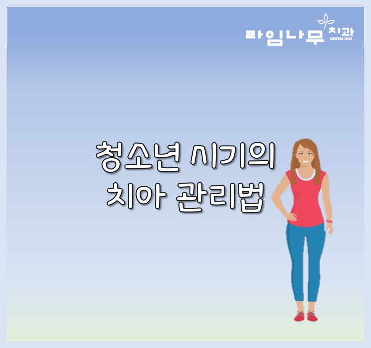 청소년, 성인 시기의 치아 관리법 중요한것은? 명동치과 라임나무 관련 이미지 2