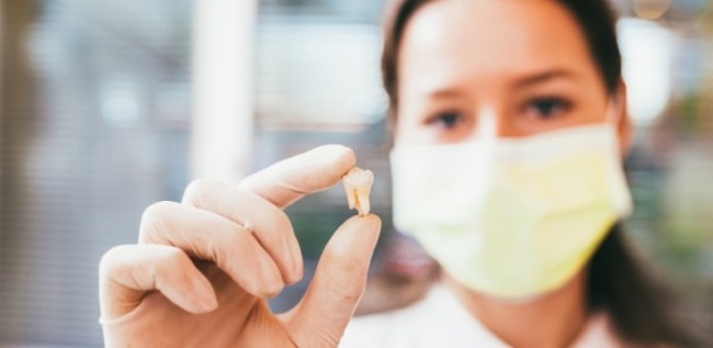 사랑니 수술발치, 어떻게 진행될까요? 관련 이미지 1