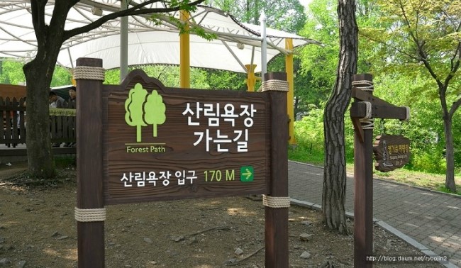 [명동치과 라임나무]산림욕의 효과, 신선한 공기 마시며 건강해질 수 있어 관련 이미지 2