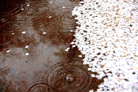 [명동치과]오늘은 경칩, 따뜻한 봄을 알리는 날이네요 관련 이미지 3