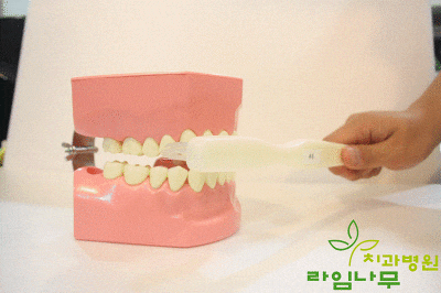 다양한 칫솔질 방법! 상황에 맞는 나만의 칫솔질을 찾자! 관련 이미지 3