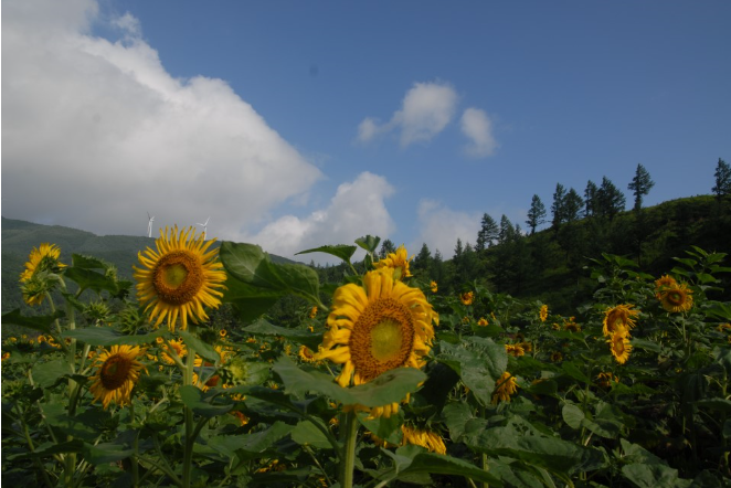 [명동치과 라임나무치과] 다가온 휴가철, 어디로 갈까? 휴가철 구강관리! 관련 이미지 7