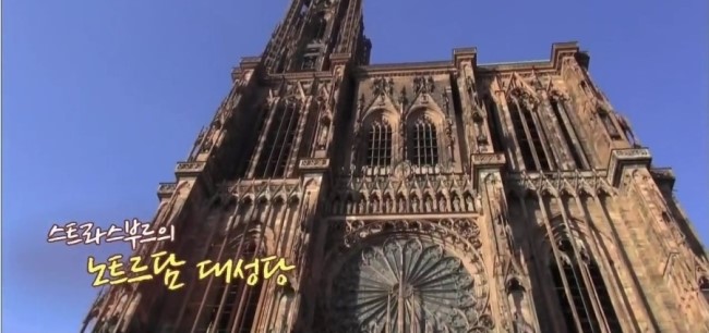 매력적인 할배들의 이야기 꽃보다 할배 감상기 관련 이미지 4