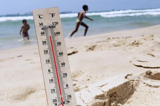 [명동치과 라임나무]열사병과 일사병의 차이, 제대로 알고 계십니까? 관련 이미지 1