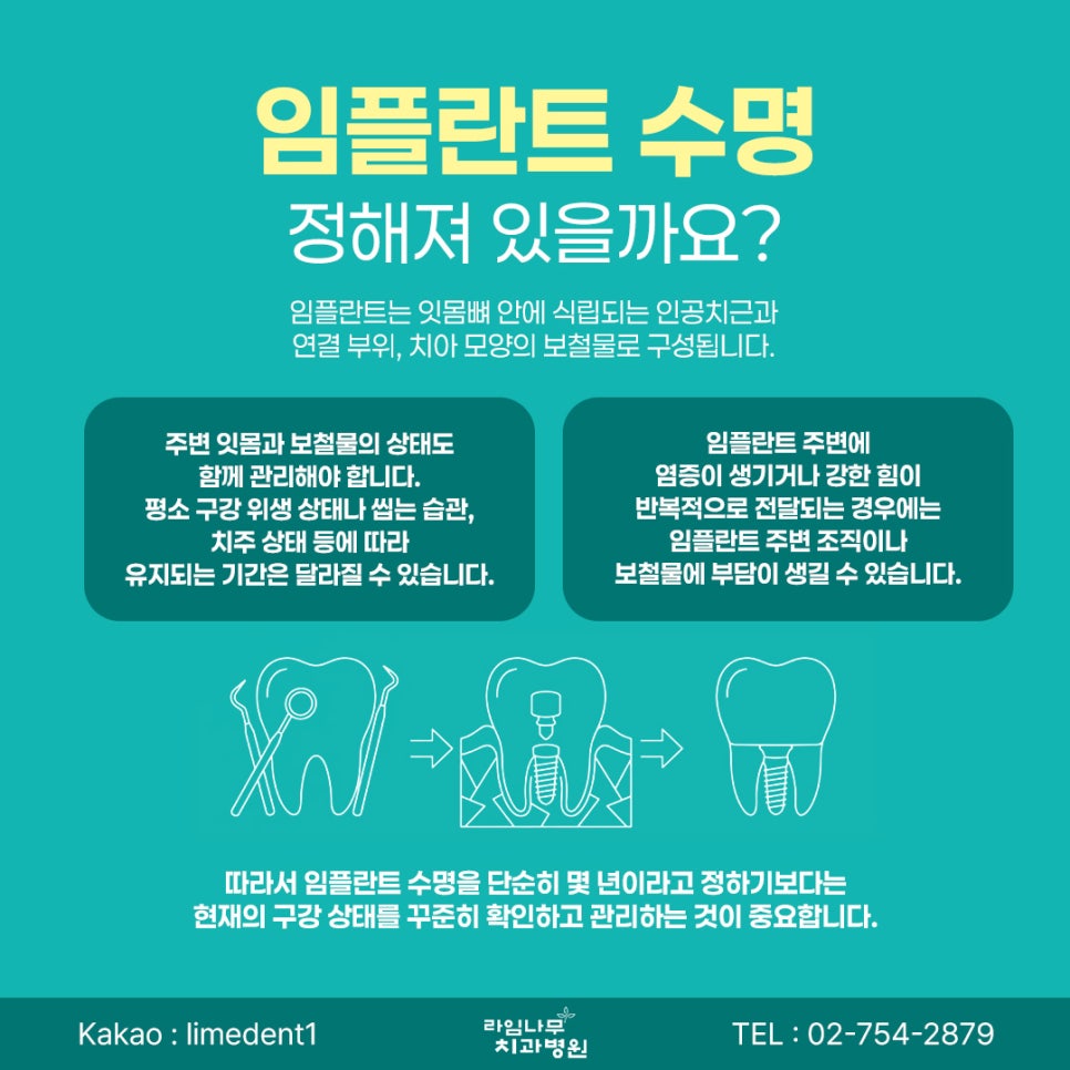 명동 임플란트 임플란트 수명, 오래 사용하려면 어떤 관리가 필요할까요? 관련 이미지 3