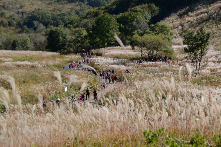 [명동치과]10월 축제 정보, 다양한 축제 알아보고 결정하세요 관련 이미지 4