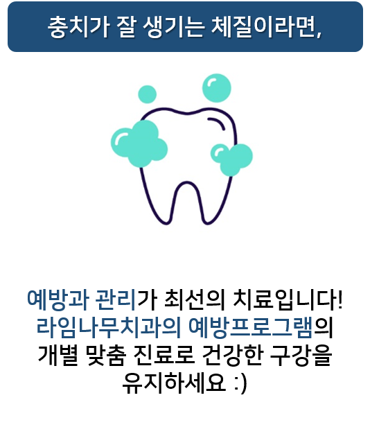 충치도 유전이 되나요? 충치예방프로그램 명동치과 라임나무 관련 이미지 8