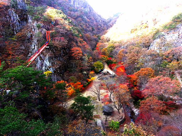 [명동치과]단풍이 드는 이유, 단풍 명소와 함께 알아봤어요 관련 이미지 4