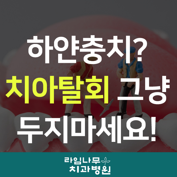 하얀충치? 치아탈회 그냥 두지마세요! 관련 이미지 1