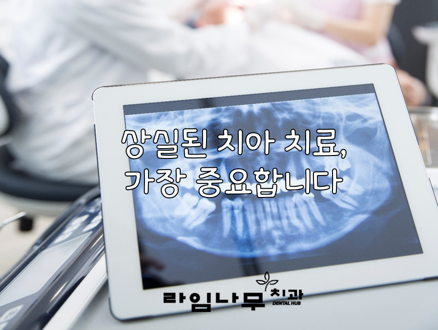 노년 시기 노인 틀니, 임플란트 와 치아관리법 알아봐요! 명동치과 라임나무 관련 이미지 4