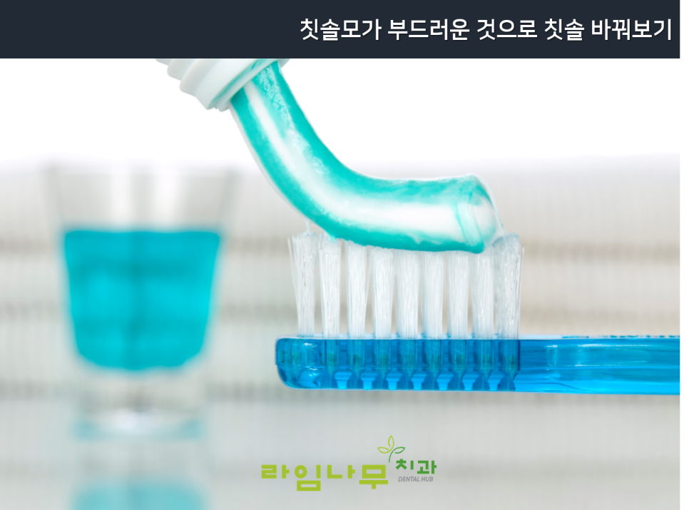 잇몸 부었을때 대처법 알아보기! 명동치과 라임나무치과 관련 이미지 3
