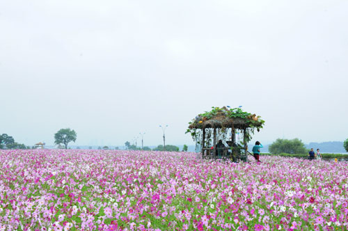 [명동치과]10월 축제 정보, 다양한 축제 알아보고 결정하세요 관련 이미지 5