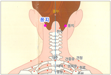 눈 피로에 좋은 지압법, 뜨거운 여름 눈건강 챙기세요 관련 이미지 3