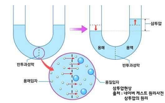 단음식을 먹을 때 치아가 시리다면? 충치 의심해 보세요. 관련 이미지 4