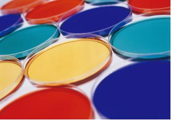 [명동치과]컬러 테라피란, 색을 통한 치유방법이라고 합니다 관련 이미지 3