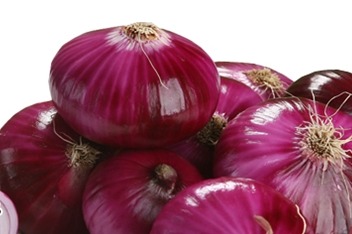 [명동치과]양파의 효능, 면역력 증강에 좋다고 합니다 관련 이미지 3