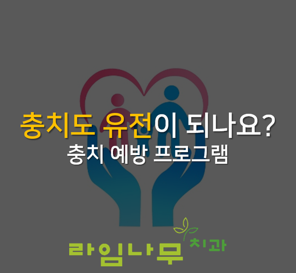 충치도 유전이 되나요? 충치예방프로그램 명동치과 라임나무 관련 이미지 1