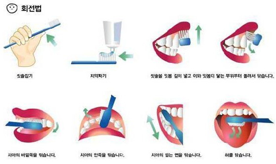 양치는 하루에 몇번해야 할까요? 올바른 양치질 배워보자! 관련 이미지 3