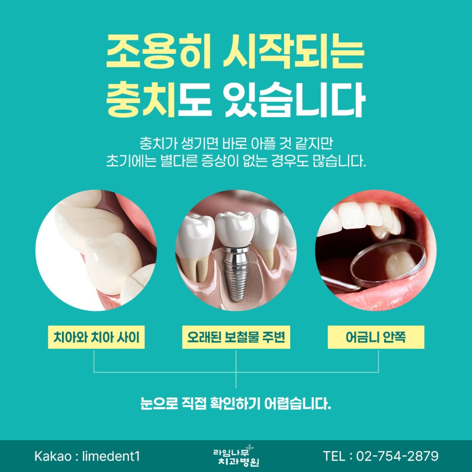 Myeongdong Dental Clinic: Why Regular Oral Checkups Are Necessary Even When Your Teeth Don't Hurt image 3
