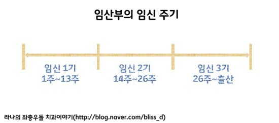 소중한 태아를 위한! 임산부 치과치료 노하우 관련 이미지 2