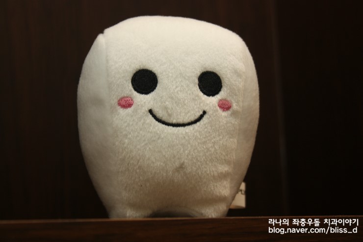 치아교정 가격 보다 치아교정 잘하는 치과 고르기 관련 이미지 4