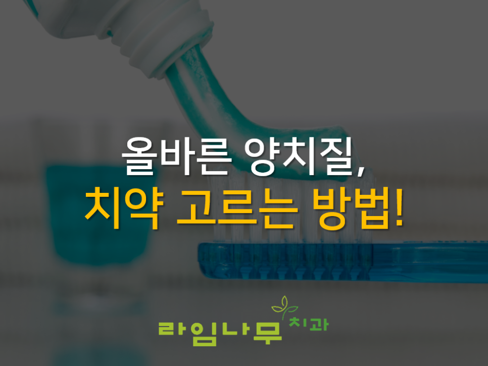 명동치과와 알아보는 올바른 양치질, 치약 고르는 방법! 관련 이미지 1