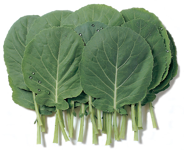 케일의 효능에 대해 알아보는 시간을 가져봐요 관련 이미지 1