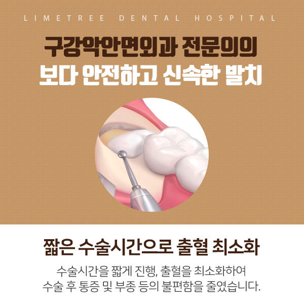 을지로입구치과 사랑니 잘 뽑는 라임나무치과 관련 이미지 4