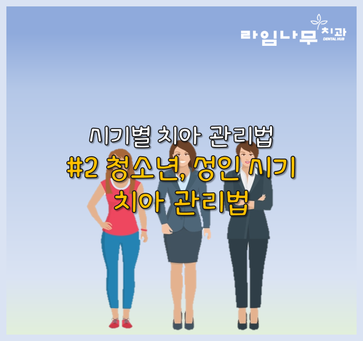 청소년, 성인 시기의 치아 관리법 중요한것은? 명동치과 라임나무 관련 이미지 1