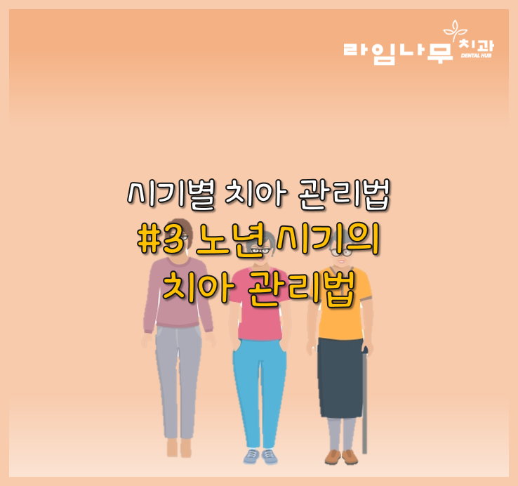 노년 시기 노인 틀니, 임플란트 와 치아관리법 알아봐요! 명동치과 라임나무 관련 이미지 1